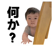 827591750