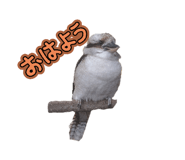 827592434