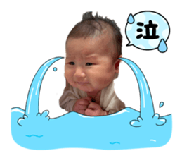 827599115