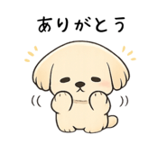 827602827