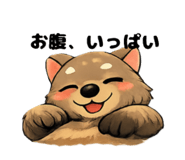 827603205