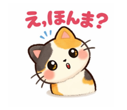 827604993