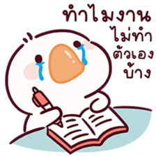 ห่านชับบี้ V.13 รูปที่ 8