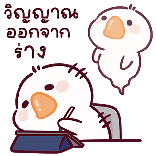 ลายที่ 12