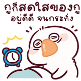 827611501