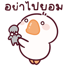 ห่านชับบี้ V.13 รูปที่ 24