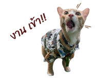 827617211
