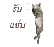 827617217