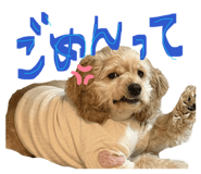 827620475
