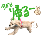 827620476