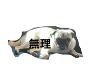 827654956