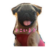 827654957
