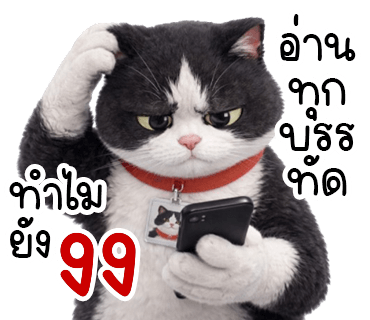 ลายที่ 17