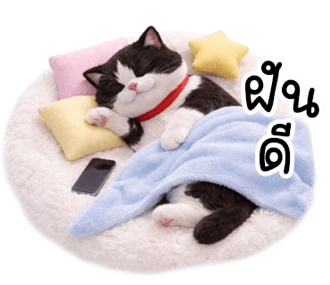 ลายที่ 40