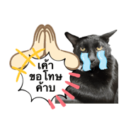 827664269