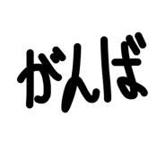 827673716