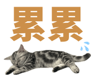 827715225