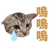 827715226