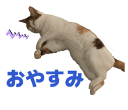 827733514
