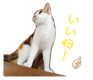 827733520