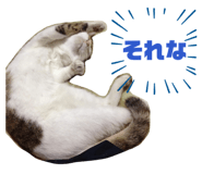 827733521