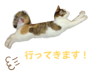827733523