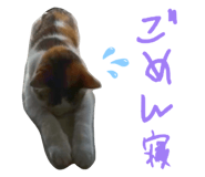 827733524