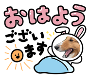 827735372