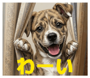 827776827