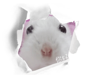 827779724