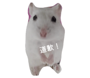 827779729