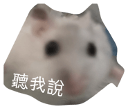 827779742