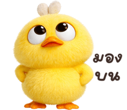 ลายที่ 43