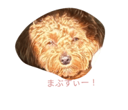 827788799
