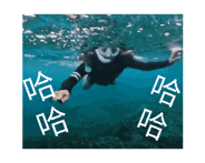 827789039