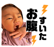 827791186