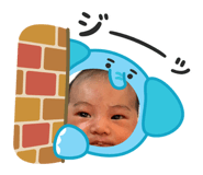 827791196