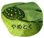 827795333