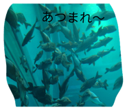 827795335
