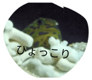 827795348
