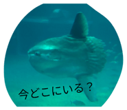 827795353