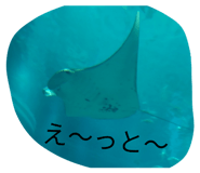 827795355