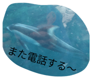827795356