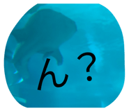 827795360