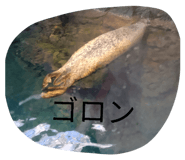 827795363