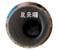 827798762