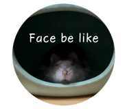 827798769