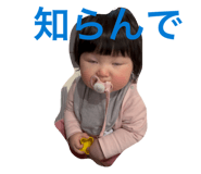 827802313