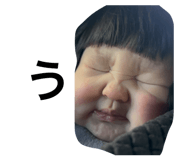 827802317