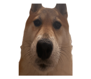 827803164